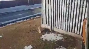 Март.Герой дня!