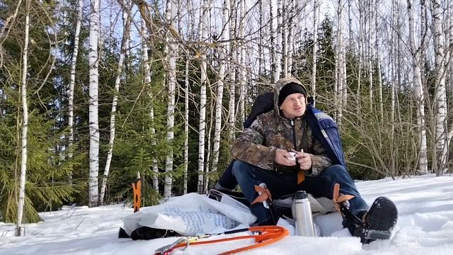 Поход. Пешком на сбор. Собрал немного чаги и вывез на волокушах. #65