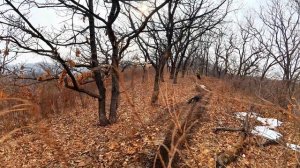 Тропа с дачь Кпд на Американский Перевал к Тв