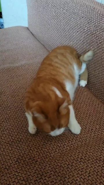 У нас обеденный перерыв