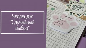 ЧЕЛЛЕНДЖ "СЛУЧАЙНЫЙ ВЫБОР"
