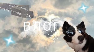 ﹤﹤ВЛОГ﹥﹥весенний) 🌷🌿☺️