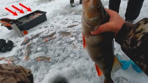 Тихая Рыбалка. Поймал очень много рыбы. Зимняя Рыбалка. Русская Рыбалка. Смотреть Онлайн 2026