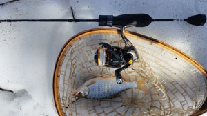 МОРМЫШИНГ. Приток Десны, разведка 22 марта 2026 года