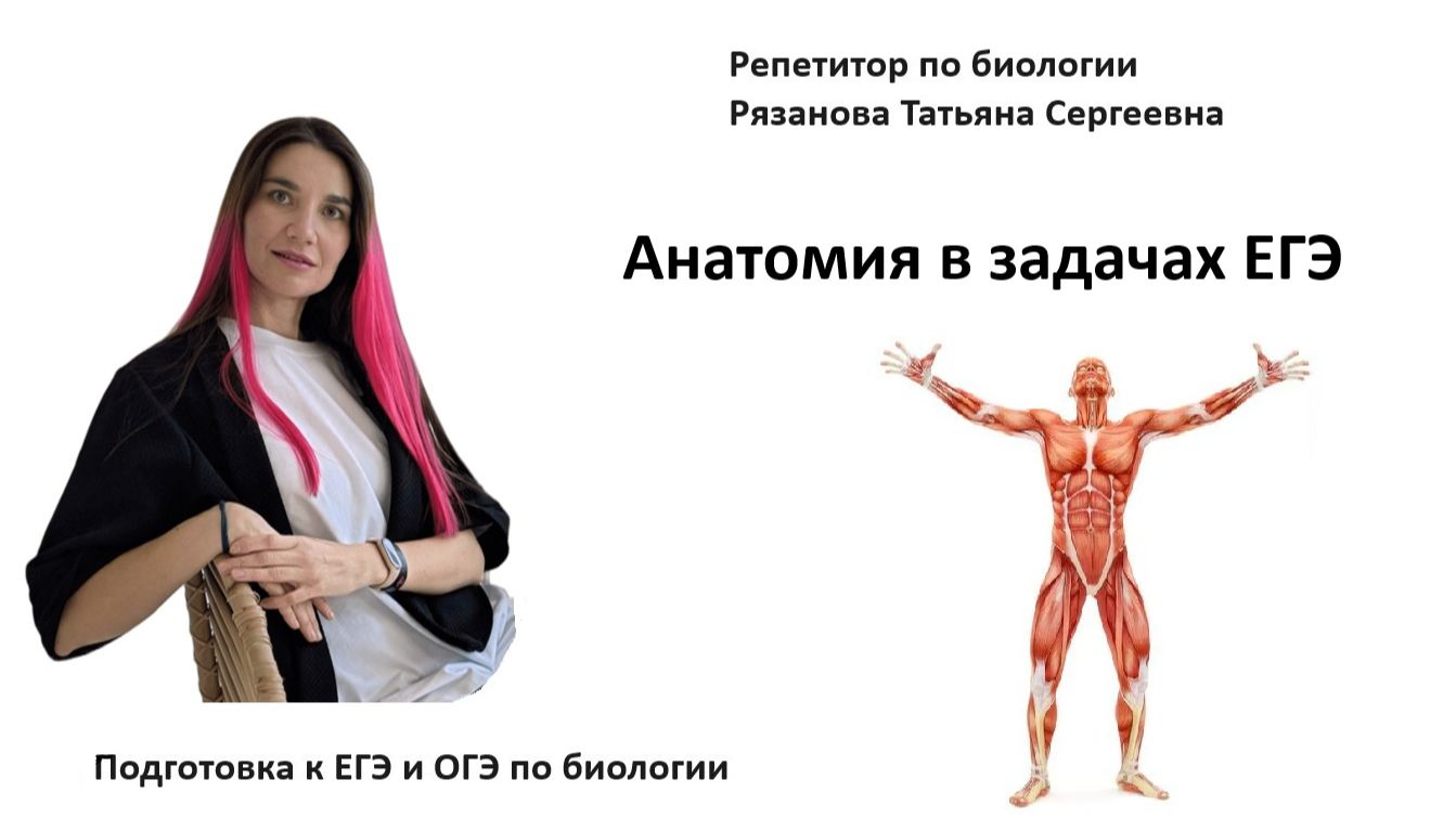 Анатомия ЕГЭ - разбор задач