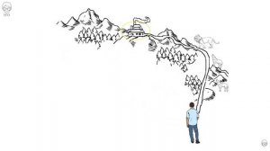 Привычки IFO