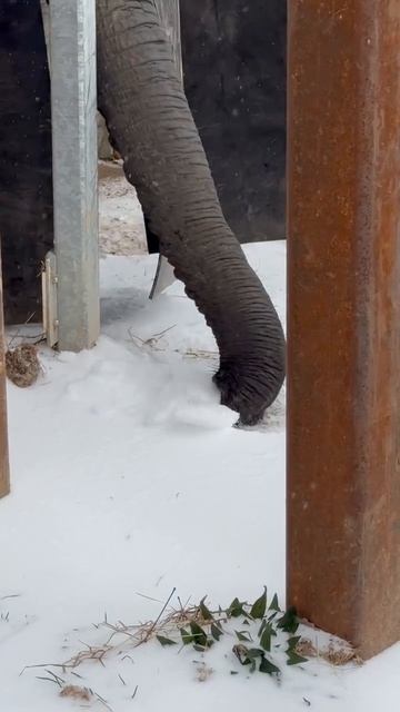 video_2026-01-30_18-15-44