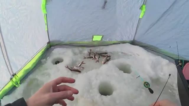 Это счастье! УДАРИЛ МОРОЗ И У РЫБЫ НАЧАЛСЯ ЖОР! Зимняя рыбалка 2026
