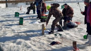 На запуске сегодня пингвины обловили жидких