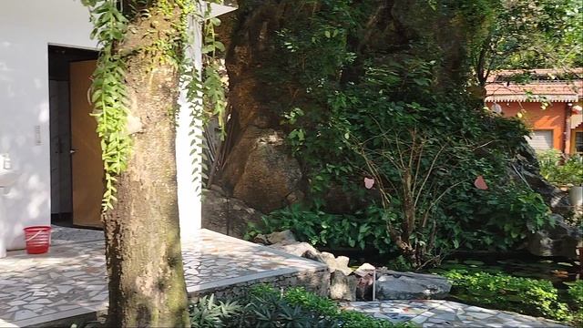 Бегу на завтрак!