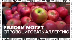 Врачи предупредили, что яблоки могут спровоцировать приступ аллергии - Москва 24