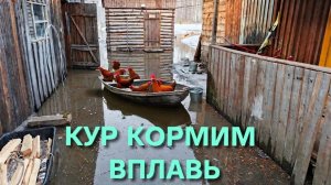 Поплыли кормить кур и собирать яйца