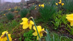 КРЫМ сегодня МУРАШКИ ПО КОЖЕ! село Тополёвка - восстание из Пепла! Параскевский Монастырь