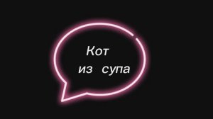 Кот из супа