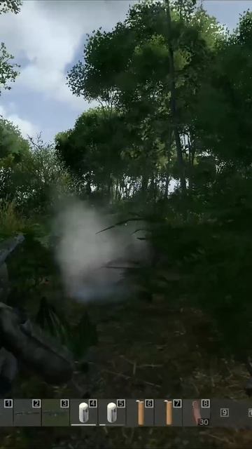 Prishel Na Antireyd #dayz #дейз #ksmn #dayzshorts