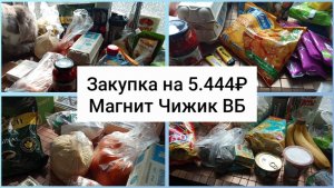 Закупка на 5.444₽.Магнит Чижик ВБ.