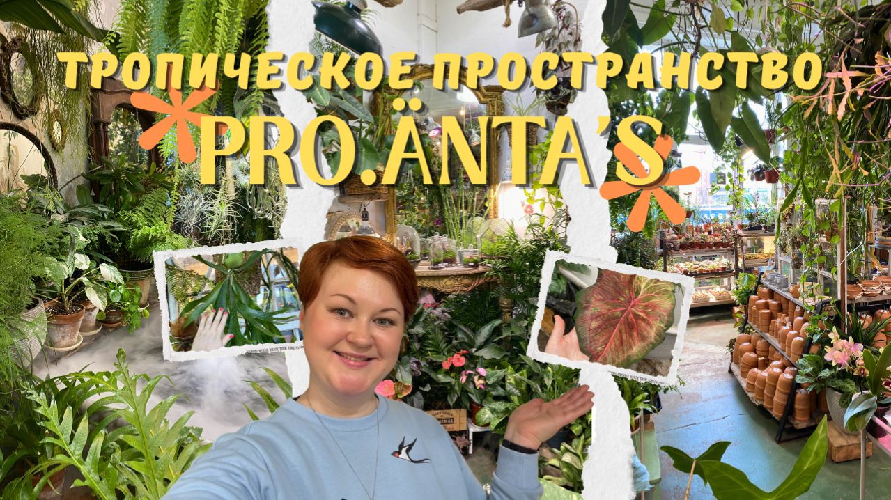 PRO.Änta's / ОБЗОР тропического пространства / шоу-рум РАСТЕНИЙ