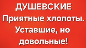 Приёмные/Душевские/Обзор.