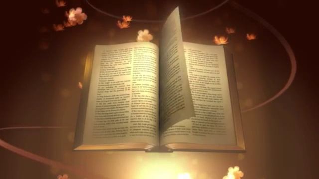 13. Вопросы аппонентов