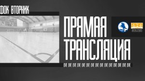 Супер-е - Петербургские львы | Полный матч