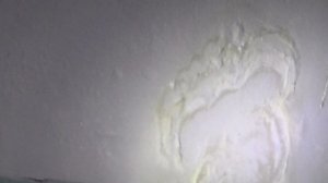 27 марта 2026 года -- второй подъезд -