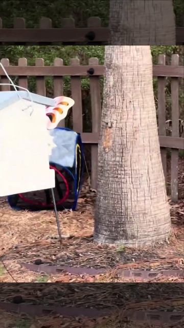 Ета тюрма не остановит меня😈