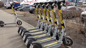 ОНИ ВЕРНУЛИСЬ: САМОКАТЫ ВЫШЛИ ИЗ ЗИМНЕЙ СПЯЧКИ.