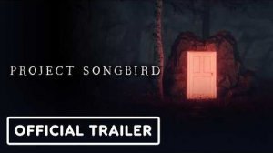 Психологический хоррор Project Songbird про творческий кризис музыканта выйдет 26 марта