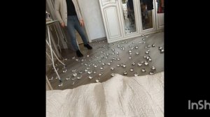 Что выбрал ты?