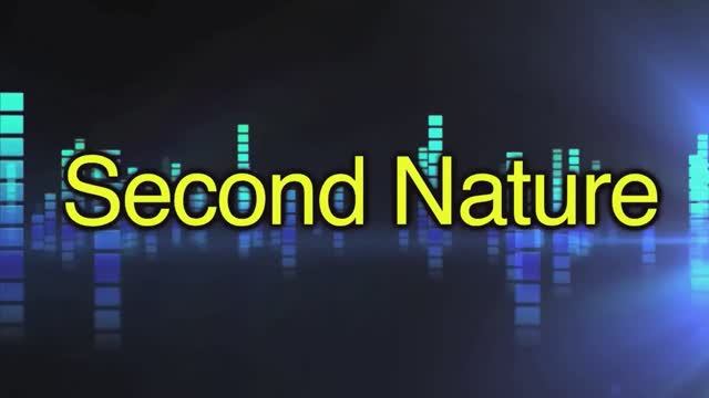 second nature — американский английский, сленг и идиомы