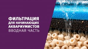 Фильтрация для начинающих аквариумистов. Вводная часть