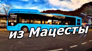 ЕДЕМ ИЗ МАЦЕСТЫ. АЛЛЕЯ ЧЕЛТЕНХЕМА. ВИД ИЗ ОКНА АВТОМОБИЛЯ. СОЧИ. 24 НОЯБРЯ 2025 ГОДА.