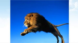 Борис Заходер  Мохнатая азбука