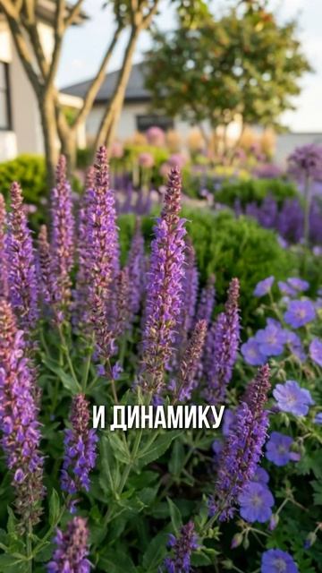 Дорогой сад без дорогих растений