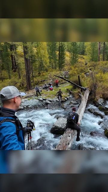 Как перейти реку? #altay #trekking #куйгук