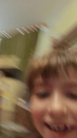 прятки без штор