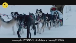 🎶 Музыка в машину: слушать бесплатно — лучшие треки для драйва!