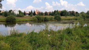 Видео пруда.