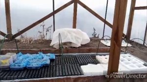 Затеняю теплицу от солнца / Посылочка.