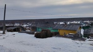 Вчера были проблемы с интернетом. Увидел первых весенних птиц. 27-03-2026