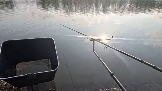 Рыба в камышах. 88 метров пришлось кидать фидерным удилищем, там и обитает карась!