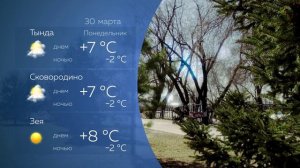 Прогноз погоды 30.03.2026