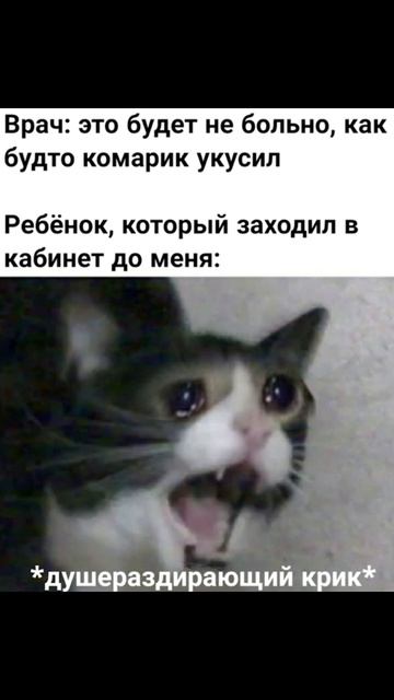 Загадал желание) Приколы с котами