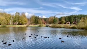 Парк «Берендеевка» осень  Кострома