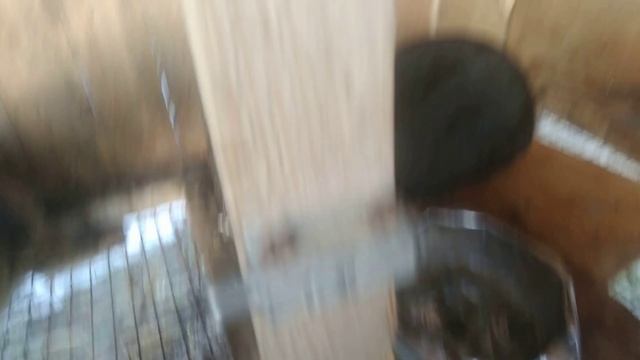 КРОЛИКИ. СЕЛЕКЦИЯ.КРОЛЬЧИХА И КРОЛ