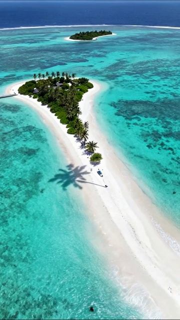 Краса тропического рая: оазис на острове #отпуск #тропики #природа