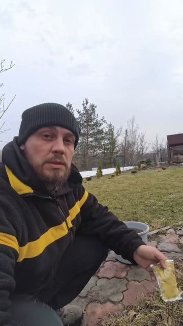 Как обстоят дела в питомнике 💥#сад #весна #санитарнаястрижка #туисмарагд