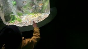 МОРЕ ЭМОЦИЙ /ДЕТИ В ВОСТОРГЕ/ Я САМ ЭТО ВИЖУ В ПЕРВЫЙ РАЗ