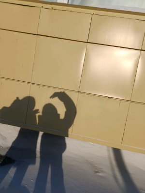 пр всем жду 100 подписчиков!!!