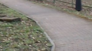 DSCN8590Парк Шерстяник конец марта 2026